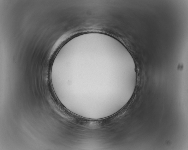 X0000114570056200911161255