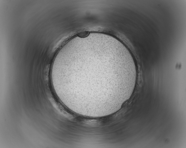 X0000114570058200911161255