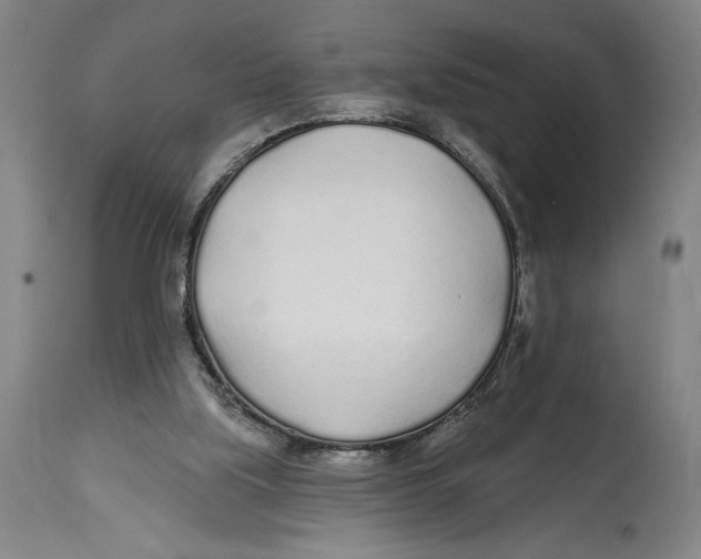 X0000114570059200911161255