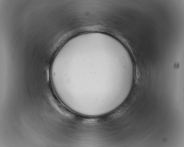 X0000114570061200911161255