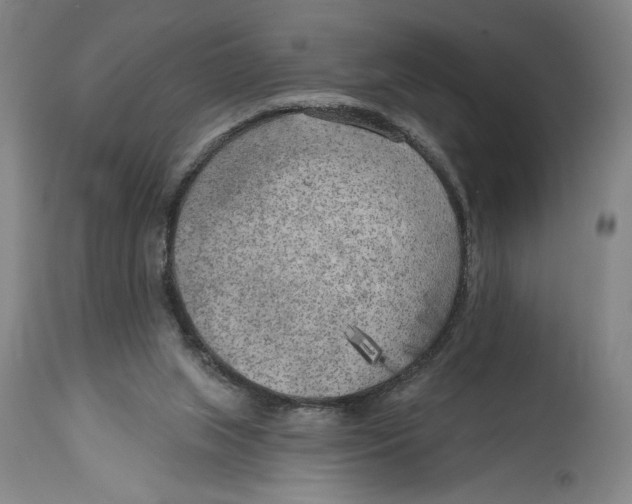 X0000114570063200911161255