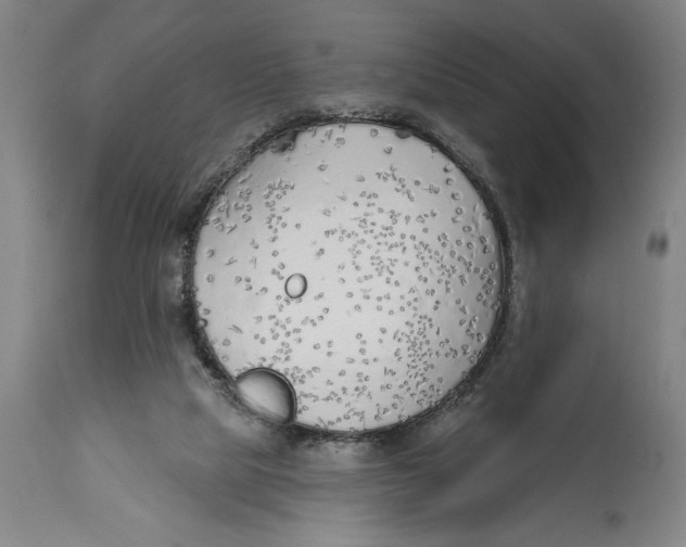 X0000114570065200911161256