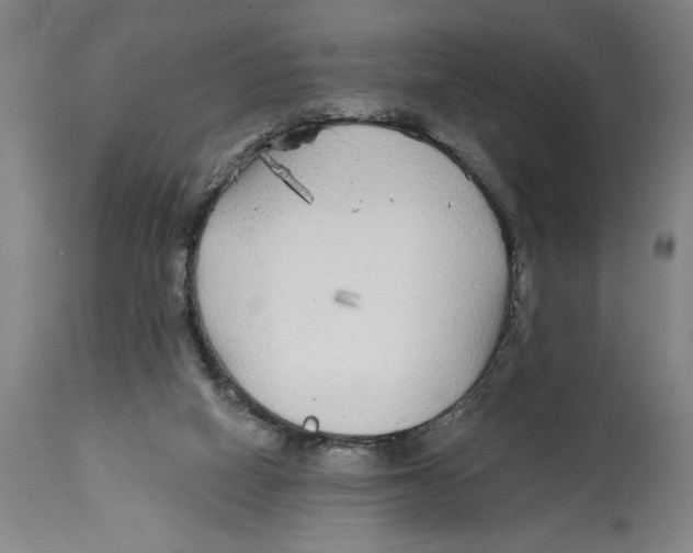 X0000114570066200911161256