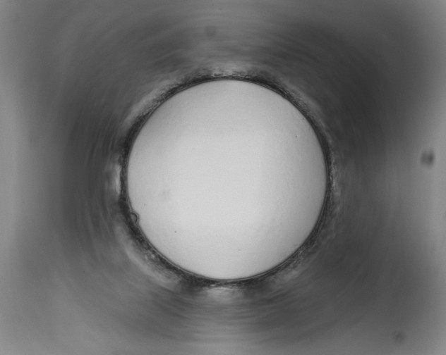 X0000114570067200911161256