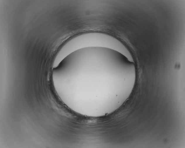 X0000114570068200911161256