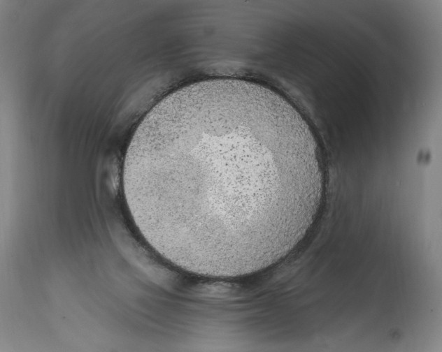 X0000114570069200911161256