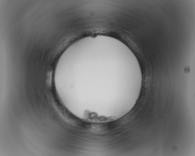 X0000114570070200911161256