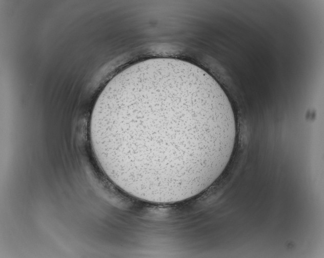 X0000114570071200911161256