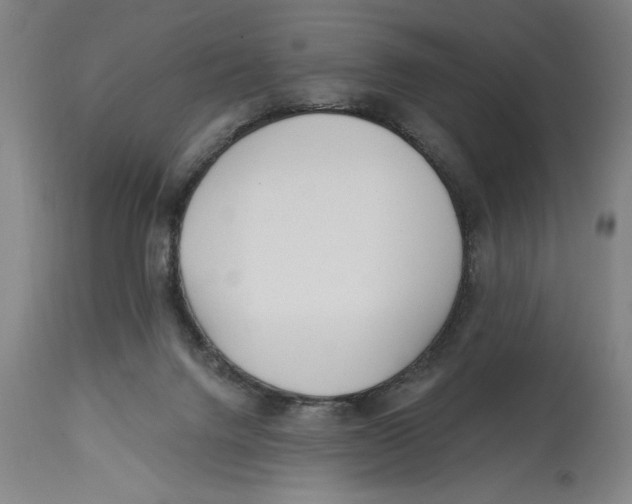 X0000114570072200911161256