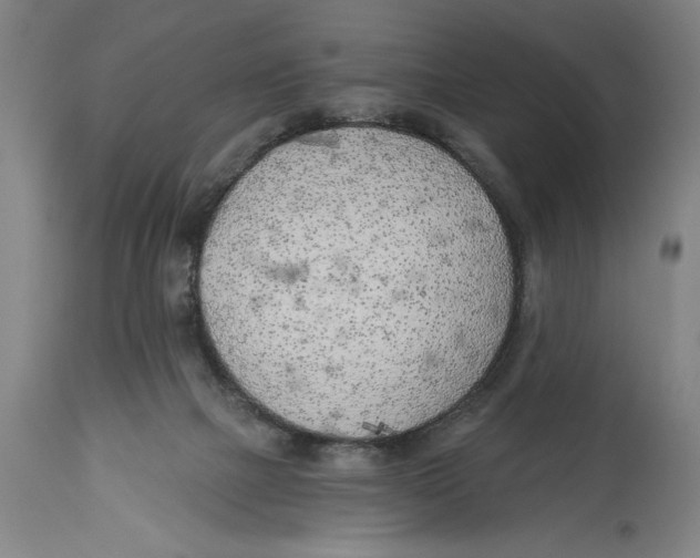 X0000114570073200911161256