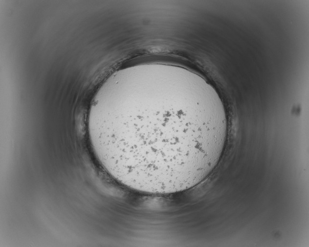 X0000114570074200911161256