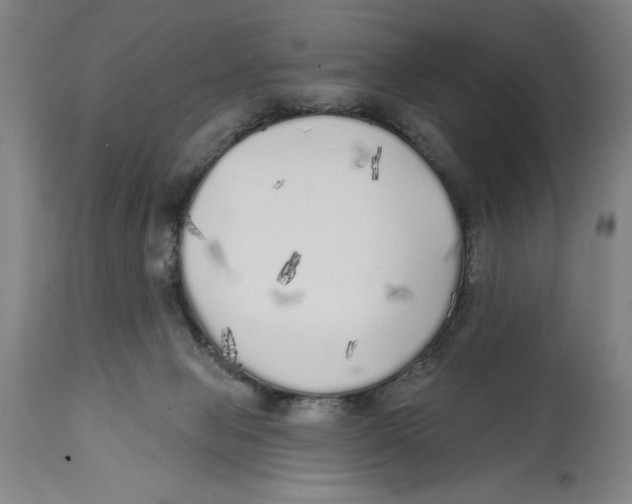 X0000114570077200911161256