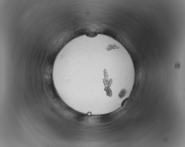 X0000114570078200911161256