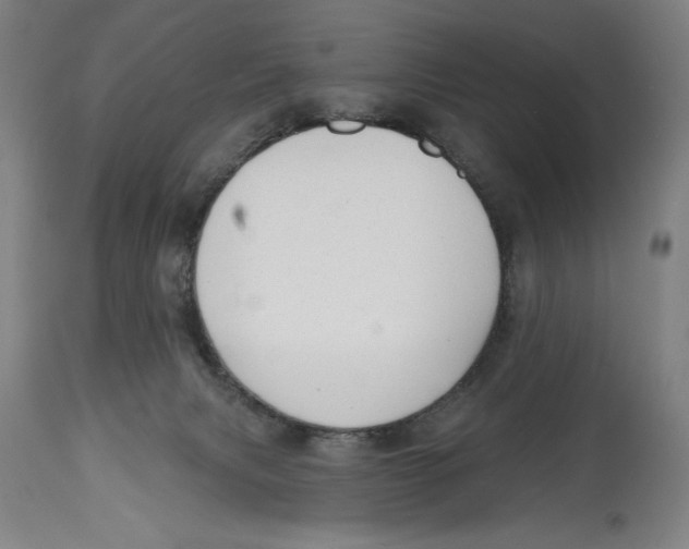 X0000114570079200911161256