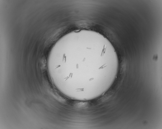 X0000114570081200911161256