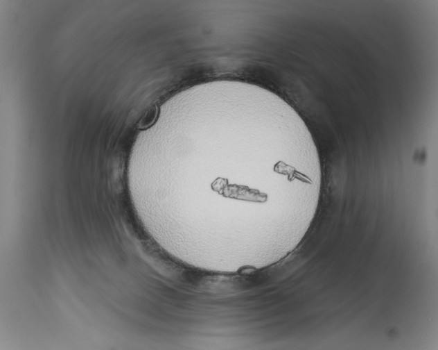 X0000114570082200911161256