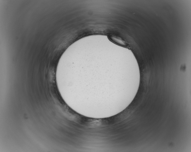 X0000114570083200911161256