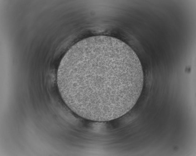 X0000114570085200911161256