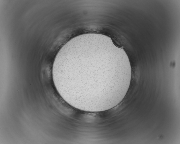 X0000114570086200911161256