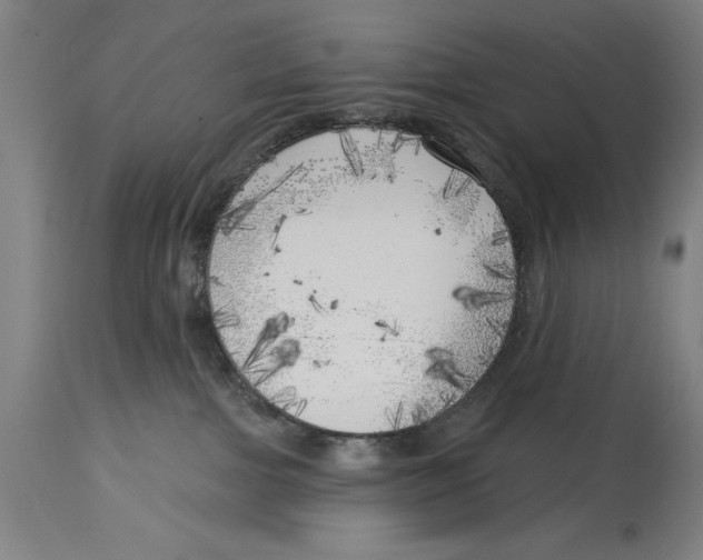 X0000114570091200911161256