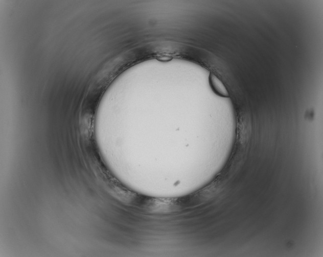 X0000114570093200911161256