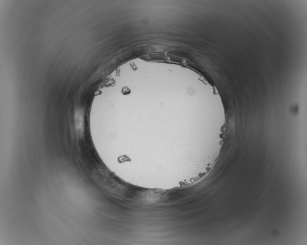 X0000114570094200911161256