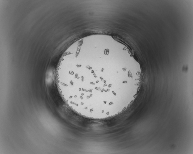 X0000114570095200911161256