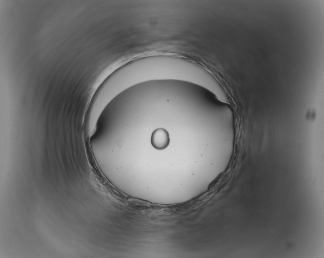 X0000114570100200911161255