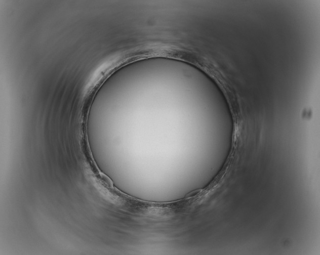 X0000114570101200911161255