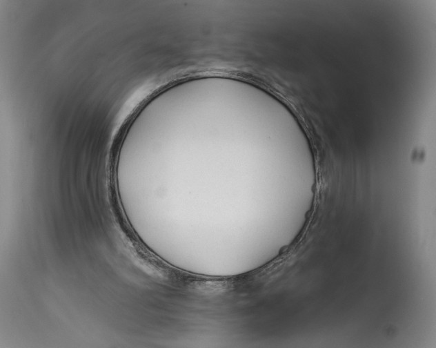 X0000114570102200911161255