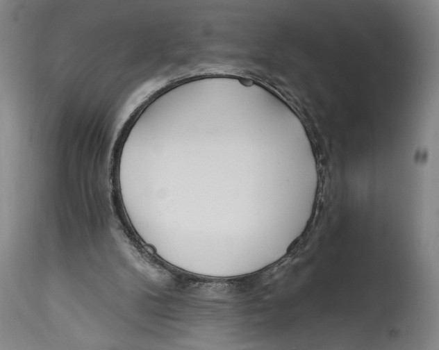 X0000114570104200911161255