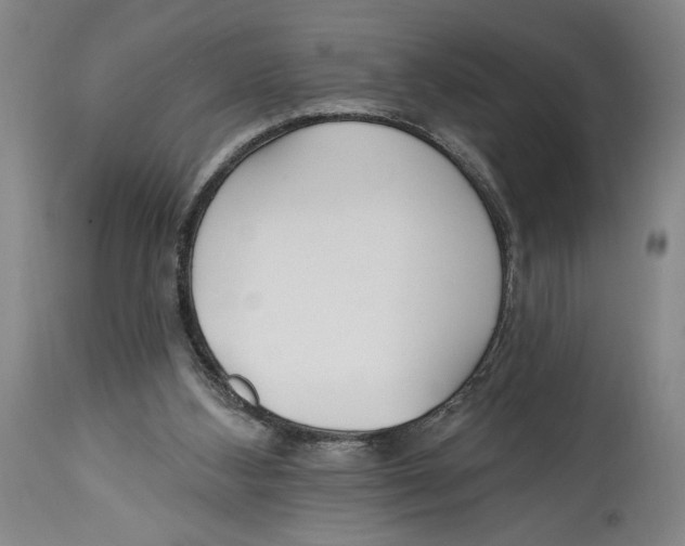 X0000114570108200911161255