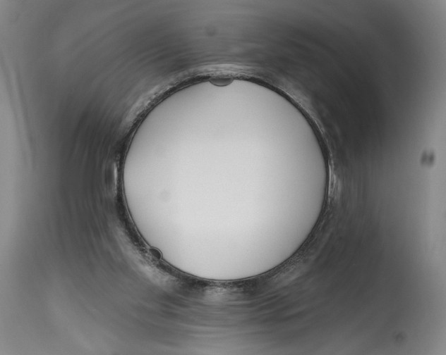 X0000114570109200911161255