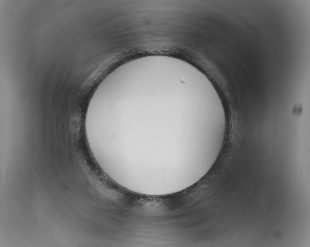 X0000114570113200911161255