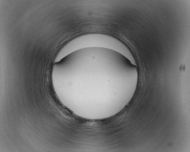 X0000114570117200911161255