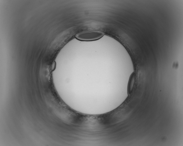 X0000114570121200911161255