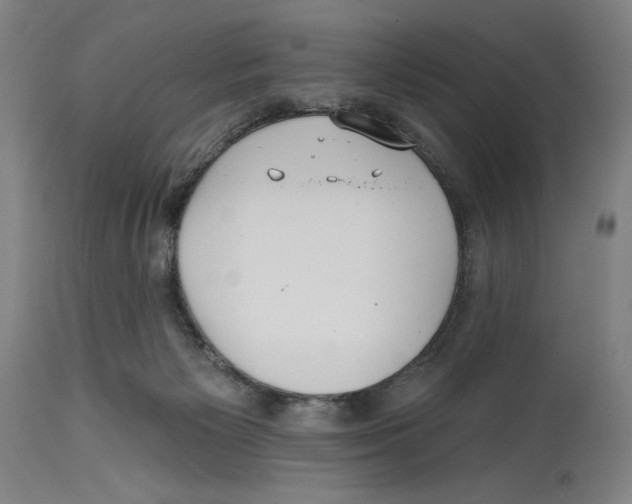 X0000114570125200911161255