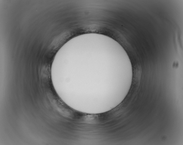 X0000114570126200911161255