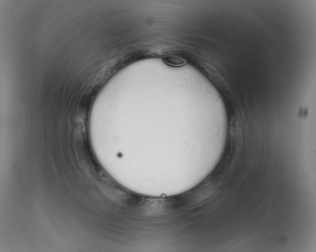 X0000114570127200911161255