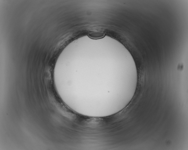 X0000114570128200911161255