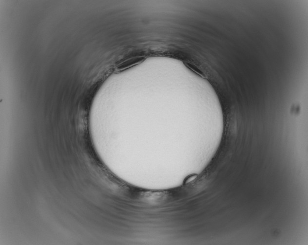 X0000114570135200911161255