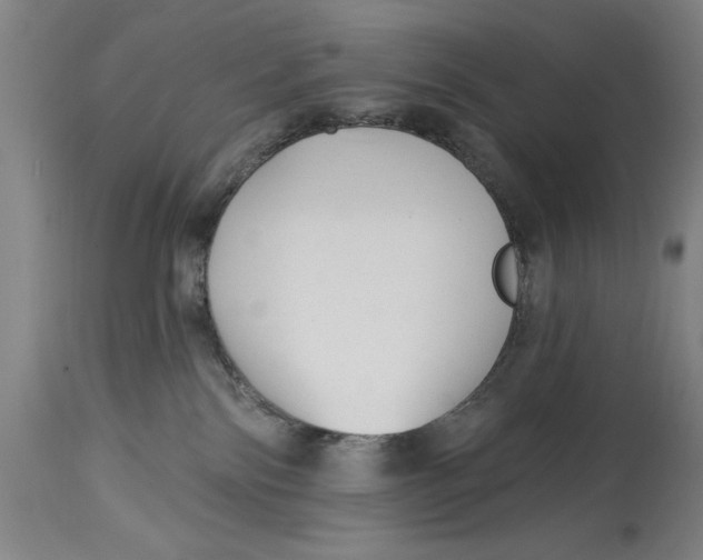 X0000114570138200911161255