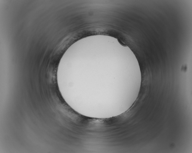 X0000114570140200911161255