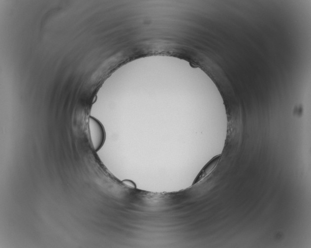 X0000114570142200911161255