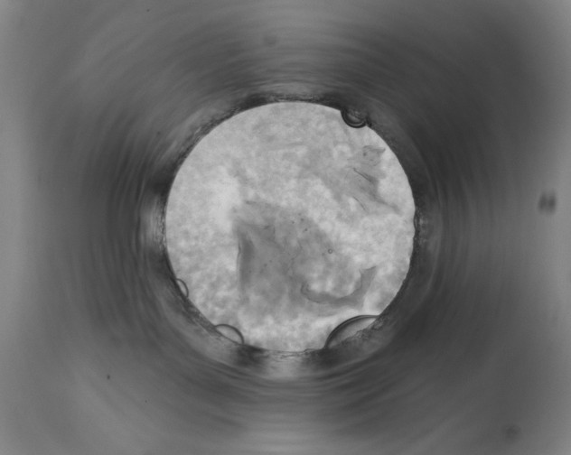 X0000114570143200911161254