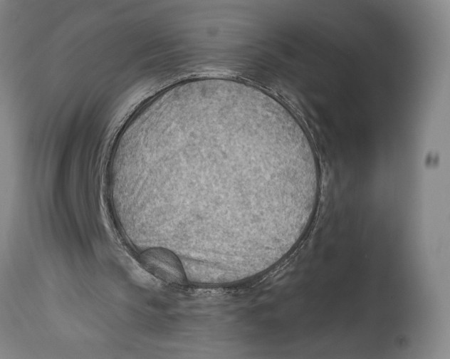 X0000114570145200911161254