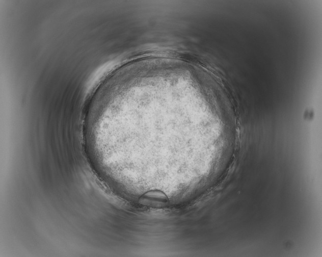 X0000114570149200911161254