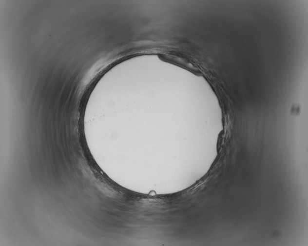 X0000114570150200911161254