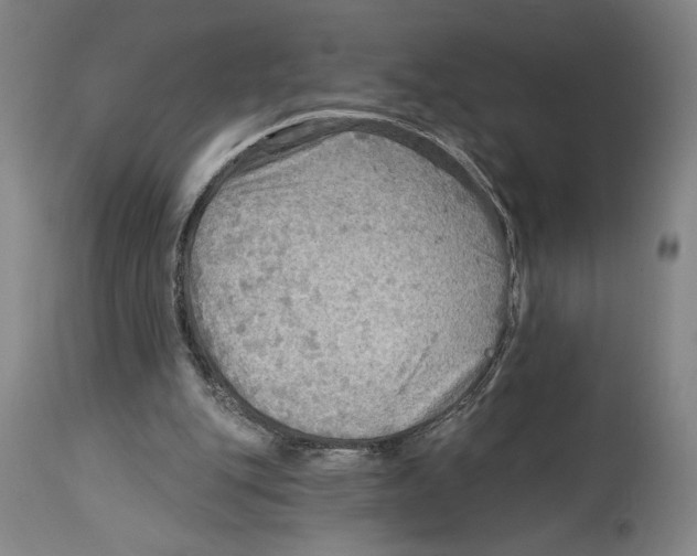 X0000114570151200911161254