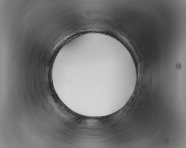 X0000114570154200911161254